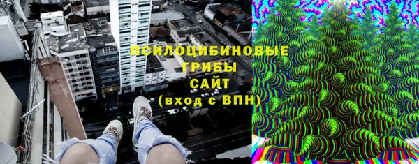 стафф Верхний Тагил